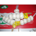 Factory Supply Pure White Garlic